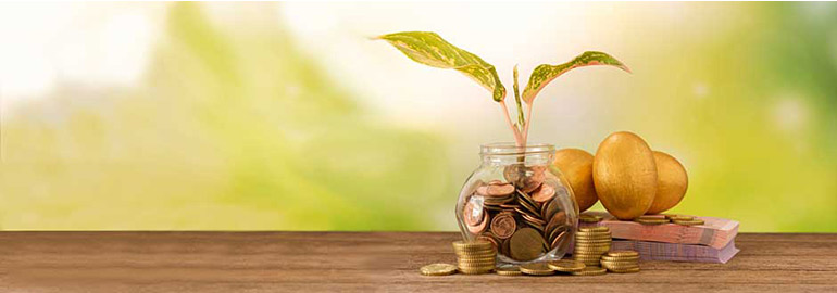 Fixed Deposits